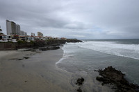 DSC_8591