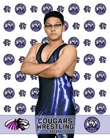 rchs20_14