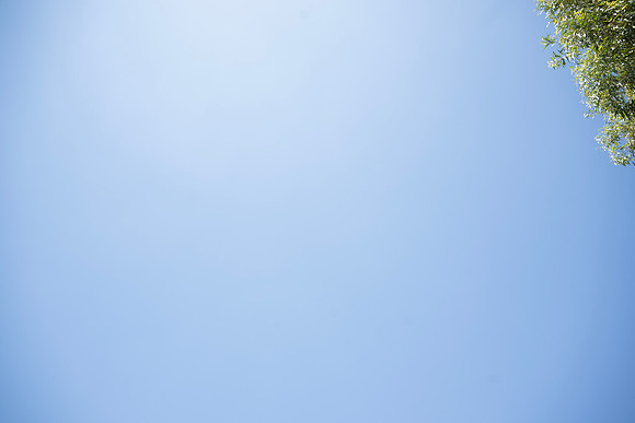 NZ1_5729