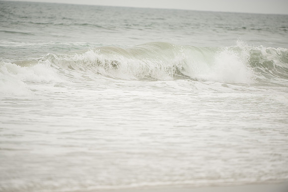 DSC_0545