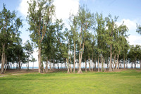 NZ1_9180