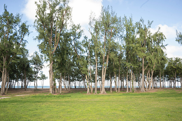 NZ1_9180
