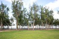 NZ1_9181
