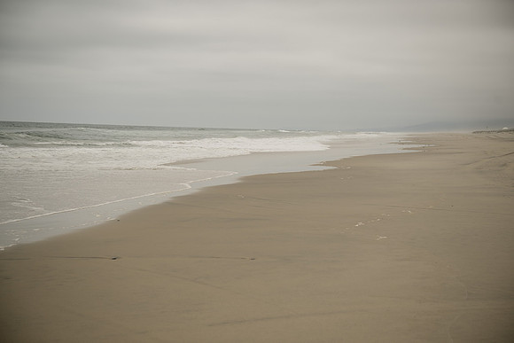 DSC_0460