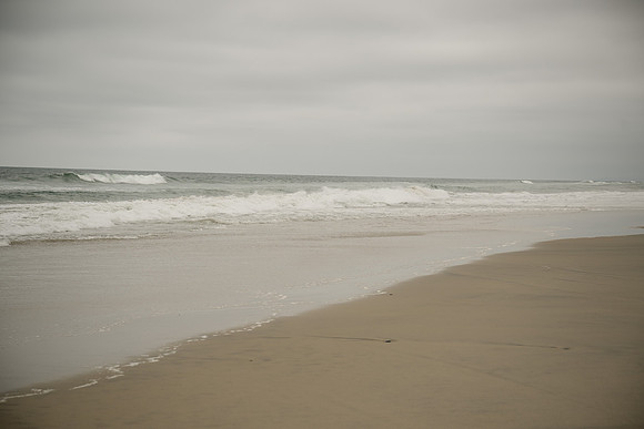 DSC_0462