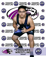 rchs20_12