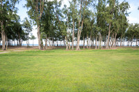 NZ1_9178