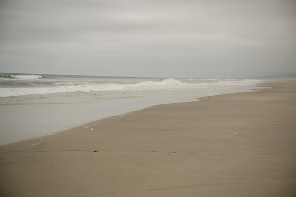 DSC_0464