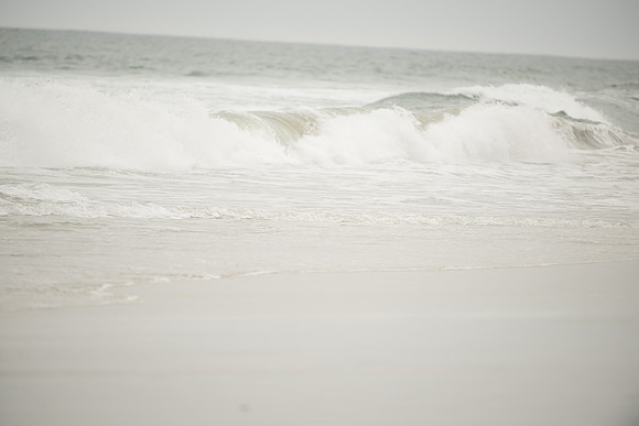 DSC_0542