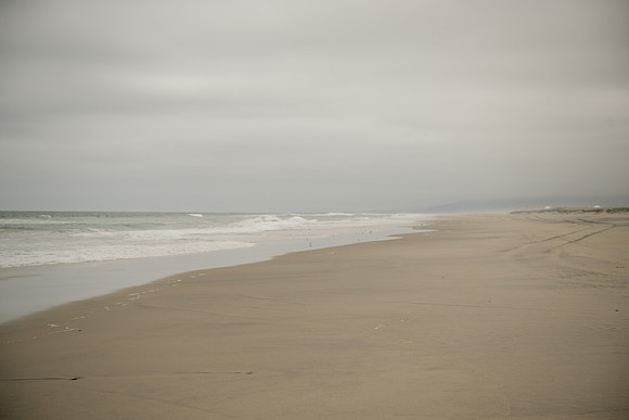 DSC_0470