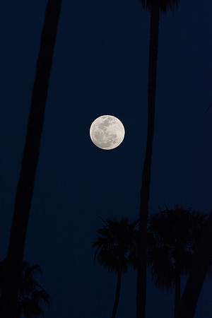 DSC_9496.jpg