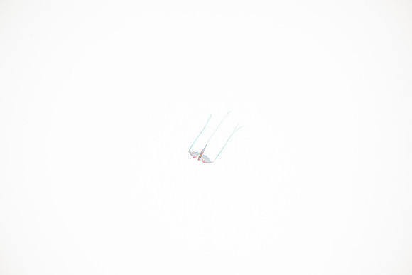 DSC_0496