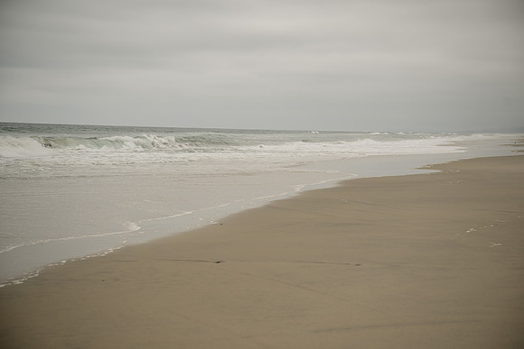 DSC_0461