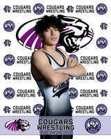 rchs20_20
