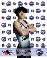 rchs20_20
