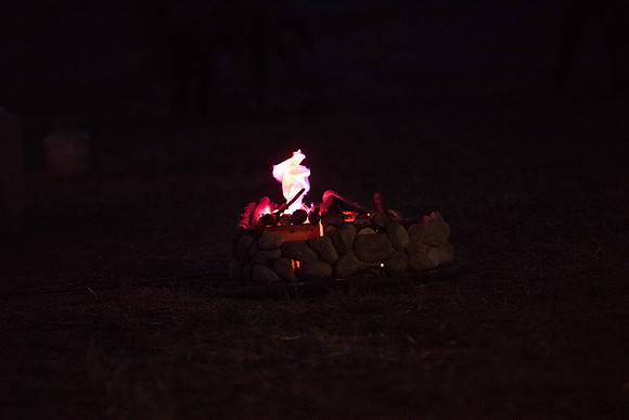DSC_8915.jpg
