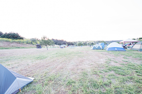 DSC_8937.jpg