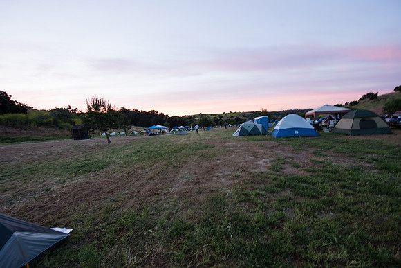 DSC_8940.jpg