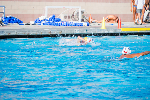 DSC_3110