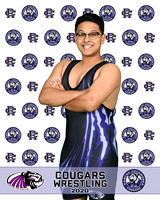 rchs20_15