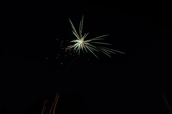 DSC_2226