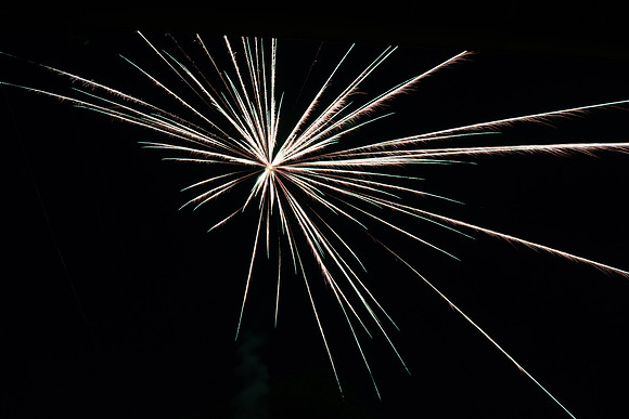 DSC_2230