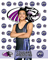 rchs20_2