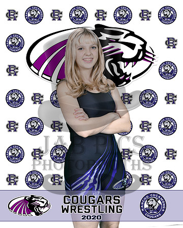 rchs20_11