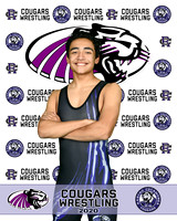 rchs20_2
