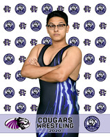 rchs20_13