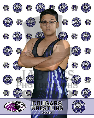 rchs20_13
