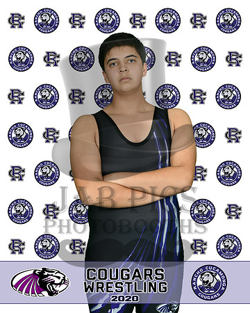 rchs20_46