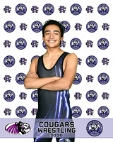 rchs20_2