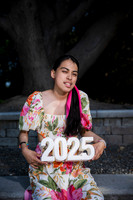NZ1_4106