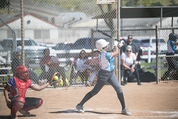 DSC_6667