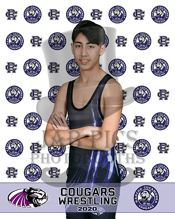 rchs20_85
