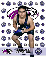 rchs20_12