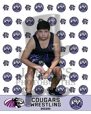 rchs20_45