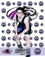 rchs20_5