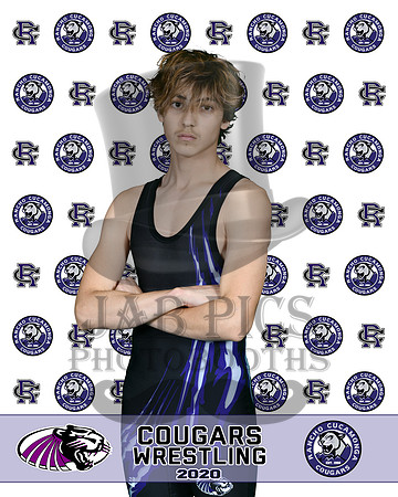rchs20_73