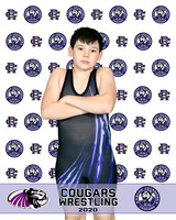 rchs20_8