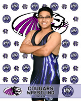 rchs20_15