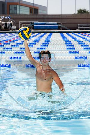 NZ1_0242