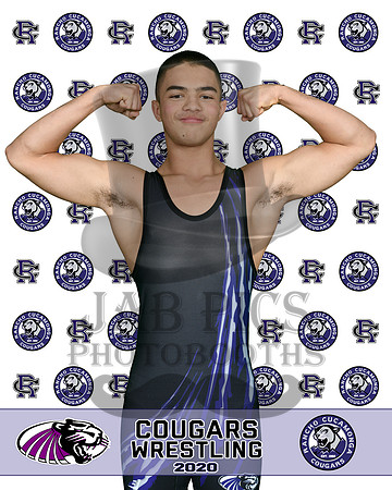 rchs20_33