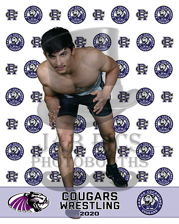 rchs20_44