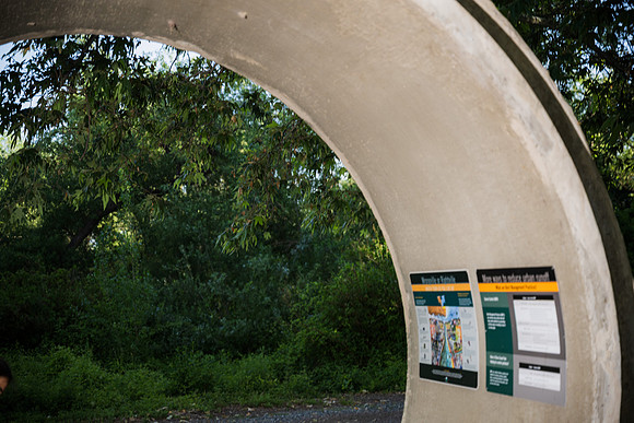 NZ1_4478
