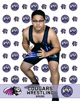 rchs20_12