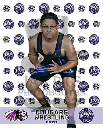 rchs20_12
